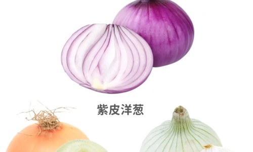 牛奶炖木瓜下奶的做法、牛奶炖木瓜的功效和作用是什么 -牛奶炖木瓜的功效和作用网