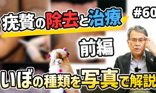 牛奶木瓜汤的功效与作用-牛奶炖木瓜下奶的做法、牛奶炖木瓜的功效和作用是什么 -牛奶炖木瓜的功效和作用网